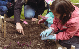 aussaat-pikier-party-HH_lM0