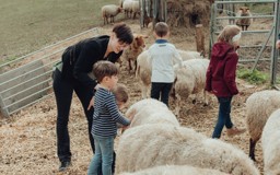 bee-sheep-week-discover-nature-s-wonders-lWf2et