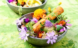 cuisine-aux-herbes-sauvages-QRhfX_