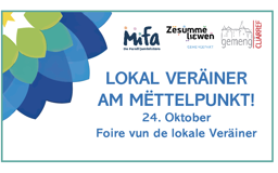 local-organisations-fair-23C6c-